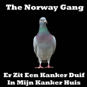 Er Zit Een Kanker Duif In Mijn Kanker Huis