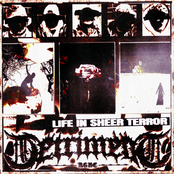 LIFE IN SHEER TERROR