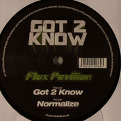 Got 2 Know by Flux Pavilion