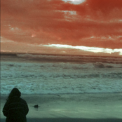 Marea