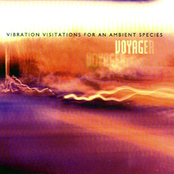 Voyager: Vibration Visitations for an Ambient Species