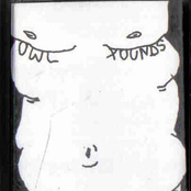 Owl Xounds/Family Battle Snake split