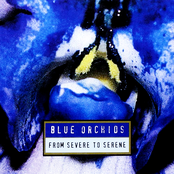 From Severe to Serene