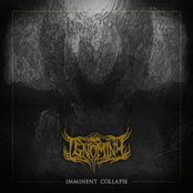 Imminent Collapse (Dissonant Death Metal)
