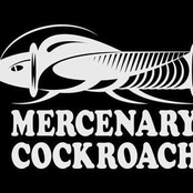 mercenary cockroach