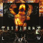 P.c. by Testament