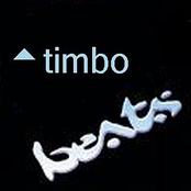Timbo Beats