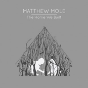 Have I Told You by Matthew Mole