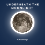 Underneath the Moonlight