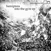 Into the Gyre
