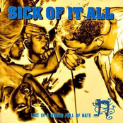 It's Clobberin' Time by Sick Of It All