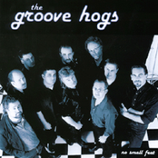It Takes Two by The Groove Hogs