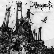 Vultures Will Gather