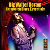 Harmonica Blues Essentials