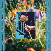 Rosie Tucker: UTOPIA NOW!