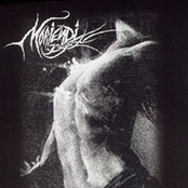 A Call To Martyr