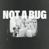 Veaux: Not A Bug