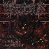 Brass Knukle Abortion