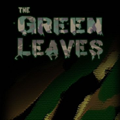 the green leaves