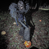 YOU COULD BE PUMPKIN