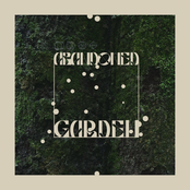 Abandoned Garden