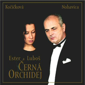 Kočičkování by Ester Kočičková A Lubomír Nohavica