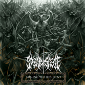 Arming the Resilient