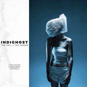 The Veil // The Crown