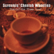 Shakin' the Blues "Live"