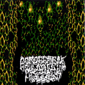 Digital Decomposition