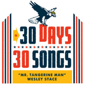 Wesley Stace: Mr. Tangerine Man (30 Days, 30 Songs) [Live]