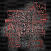 Delirium Wounds: Vol. 2