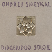 Didgeridoo Solo II