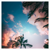 The Sun Will Rise Again