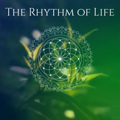 The Rhythm of Life: Deep Spiritual Hang Drum for Meditation