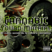 Cannabic Sound Machine