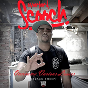 Overcome Various Losses