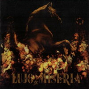 Lujo Y Miseria