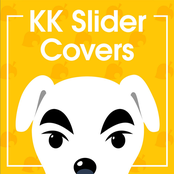 KK Slider Covers