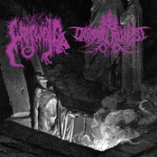 Ravenwinds on My Path Towards the Entrance into the Cold and Lonely Mountain