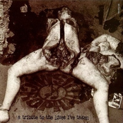 Decomposing Serenity / Microphallus