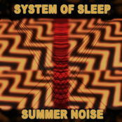 System Of Sleep