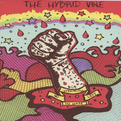 No Strength Left To Hate