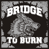 bridge to burn