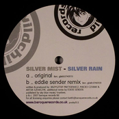Silver Rain