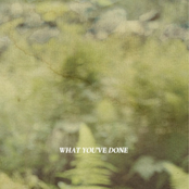What You’ve Done (feat. Liz Gillies) - Single