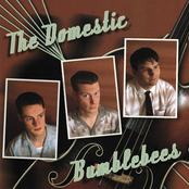 The Domestic Bumblebees