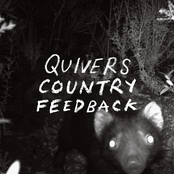 Country Feedback