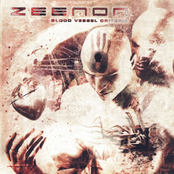 Blood Vessel Criteria