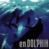 enDolphin